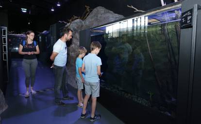 Slatkovodni akvarij Aquatika Karlovac, jedna je od destinacija izletnika