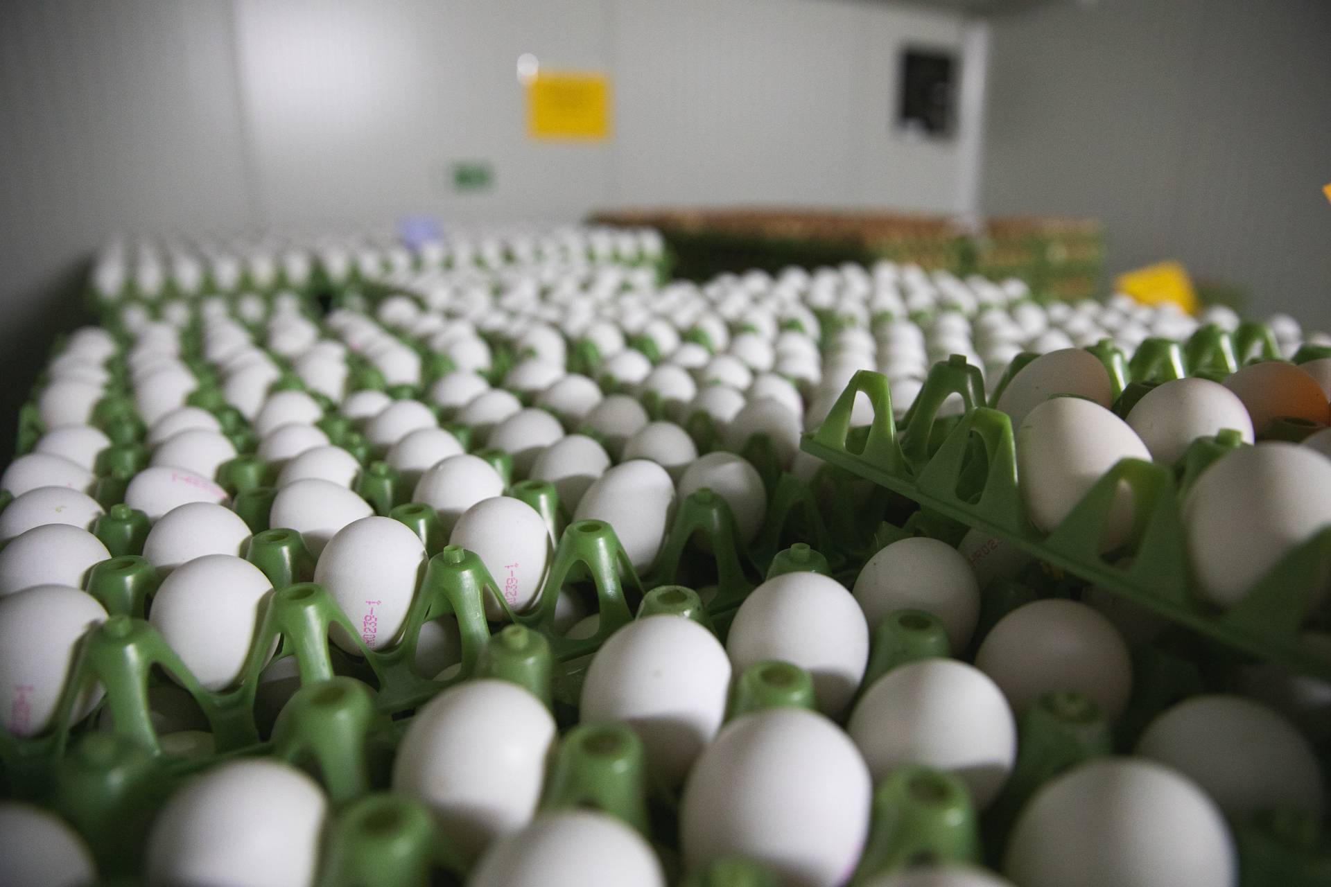 Domaća jaja potražite u SPAR i INTERSPAR trgovinama