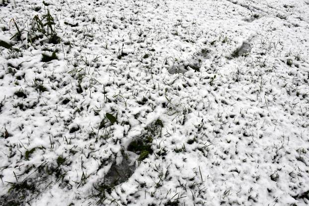 FOTO Slavonska snježna idila: Osijek i Sl. Brod pod snijegom