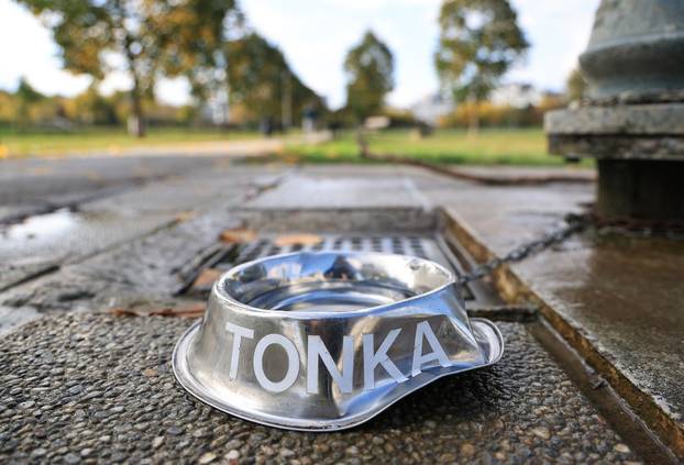 Zagreb: Diljem Zagreba osvanule posudice za pse