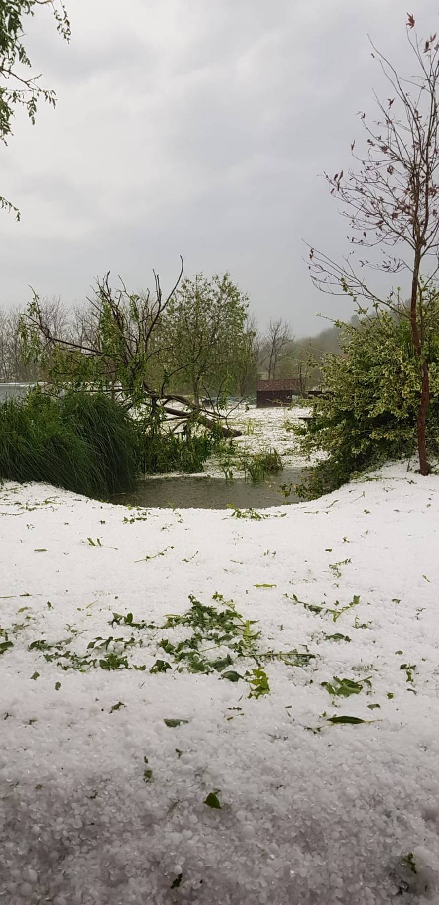 Kumrovec se zabijelio: 'Palo je toliko tuče... Ovo sve u samo pola sata! Vrt nam je uništen'