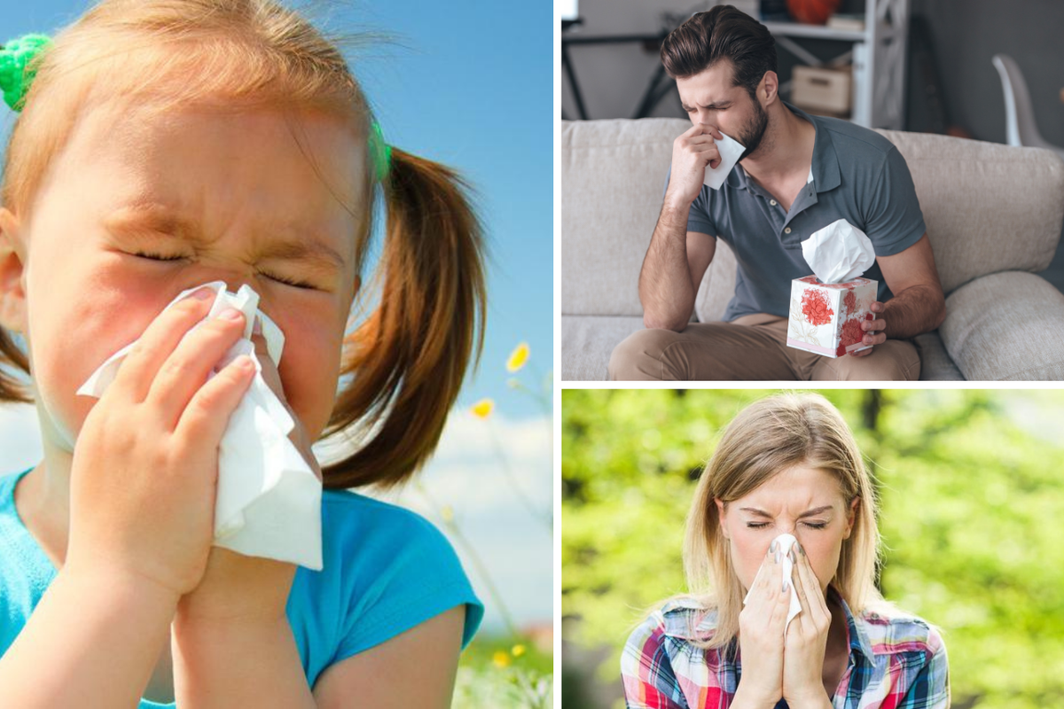 Stiže sezona peludnih alergija: 'Terapiju počnite uzimati tjedan dana prije sezone cvatnje'