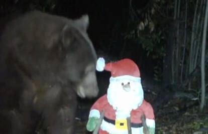 Nevolje Djeda Mraza! U šumi ga napao ljuti medvjed