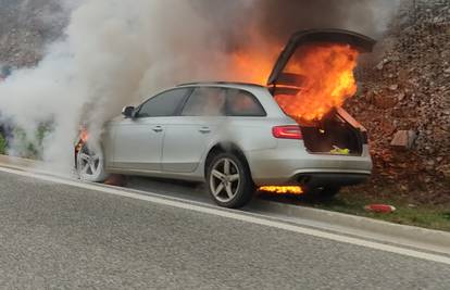 VIDEO Izgorio auto na ulasku u Pulu, vatrogasci ugasili požar