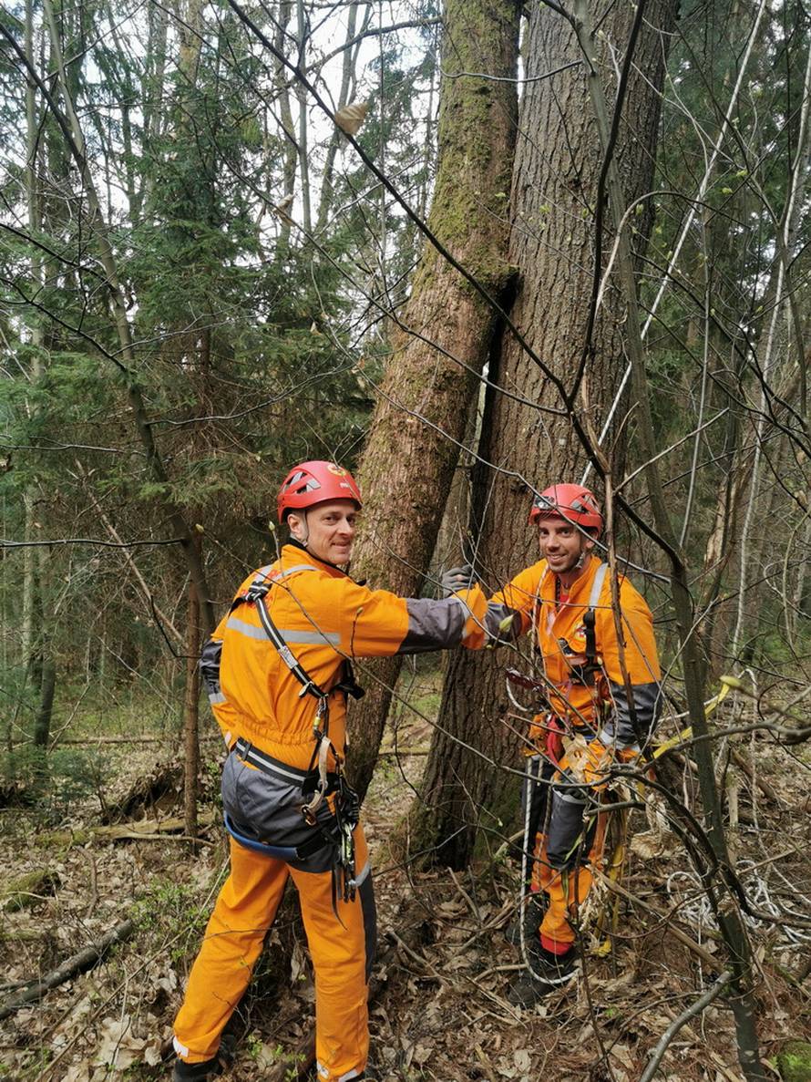 Mačak Pandi proveo je 11 dana na boru: 'Kad smo došli do njega, samo je skočio dolje...'