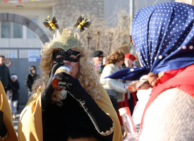 Jezera: Maškarana povorka prodefilirala je Jezerima