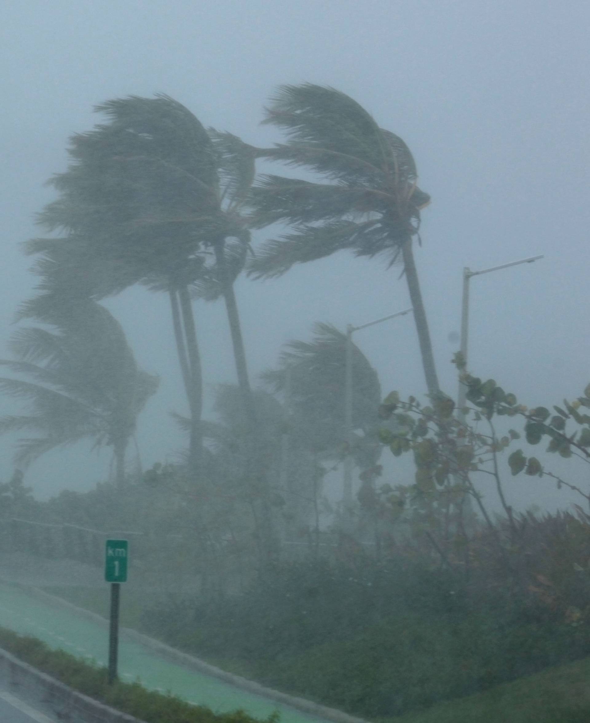 Palm trees bend in the wind as Hurricane Irma slammed across islands in the northern Caribbean on Wednesday, in San Juan