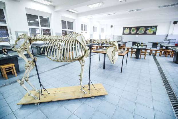 Zagreb: Predsjednik Milanović posjetio je Veterinarski fakultet Sveučilišta u Zagrebu