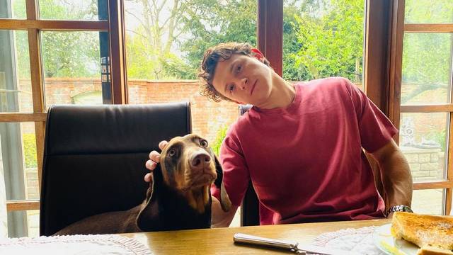 Tom Holland iskreno: 'Osjećao sam se grozno i povratio sam čak, ali sve je to sada iza mene'