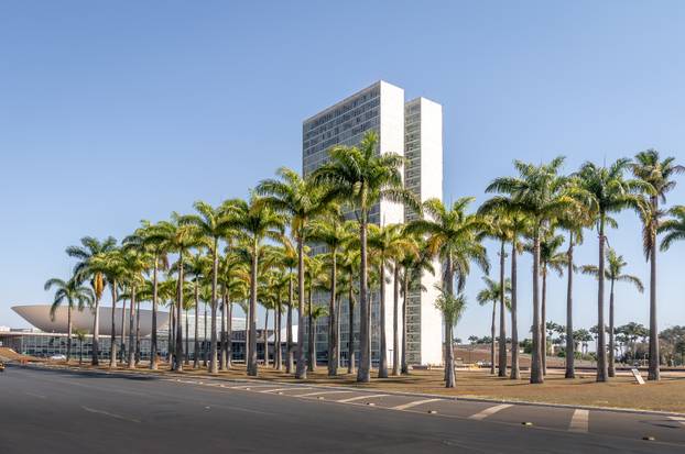 Palm Trees and the back of Brazilian National Congress - Brasili