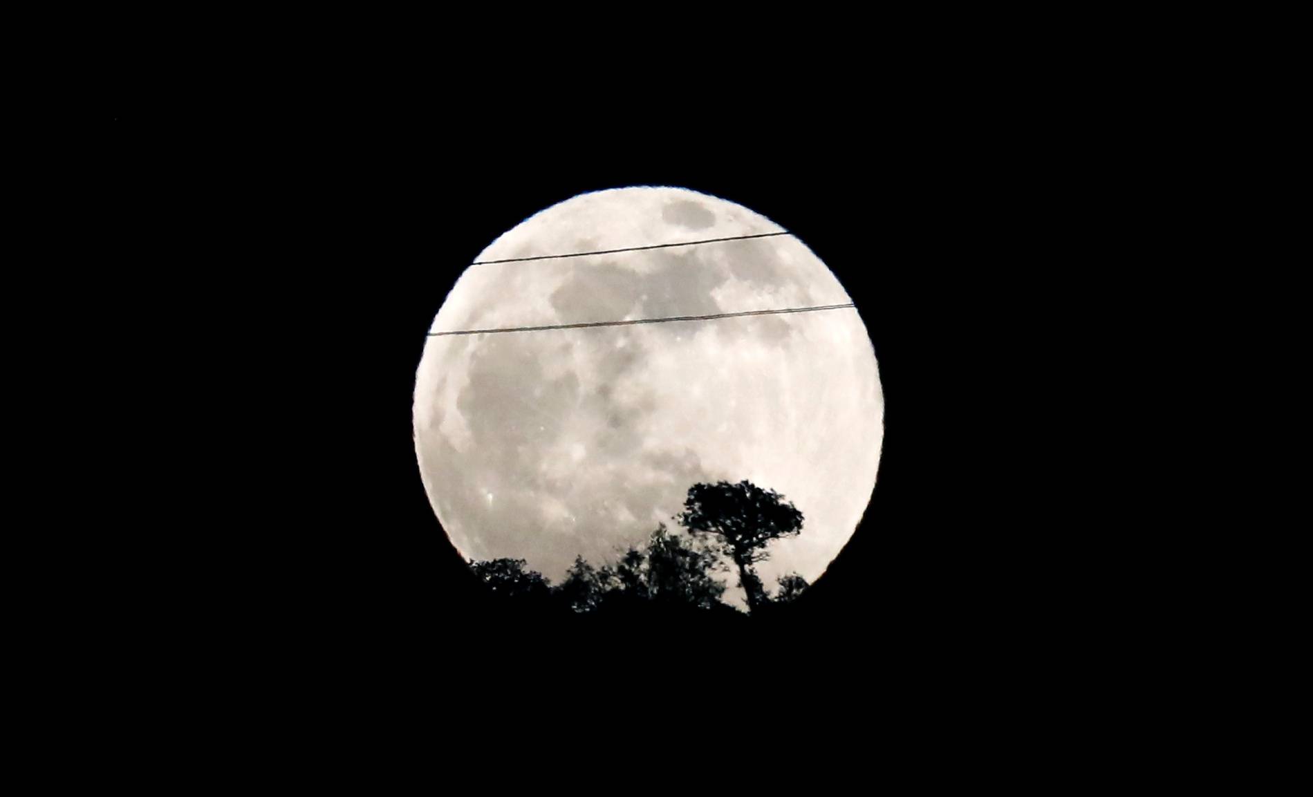 The full moon is seen rising behind a tree during the penumbral lunar eclipse in Ronda, near Malaga
