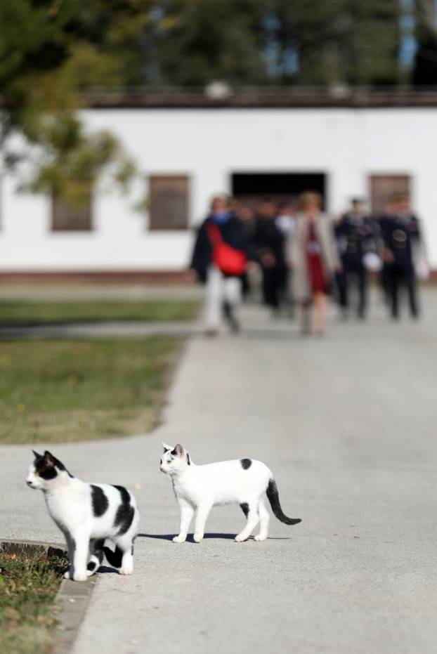 Pula: Obilježena 34. obljetnica stradanja pulskih pirotehničara