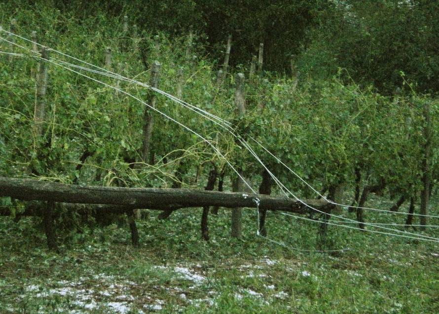 Anđelko Suhodolčan/24sata