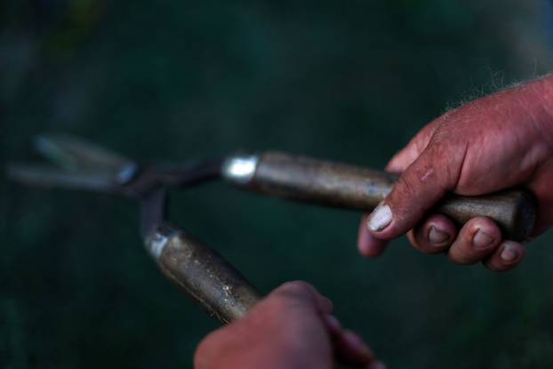 Bajkoviti vrt u srcu Međimurja: Prvi i jedini Topiary park u Hrvatskoj krije se u Sračincu