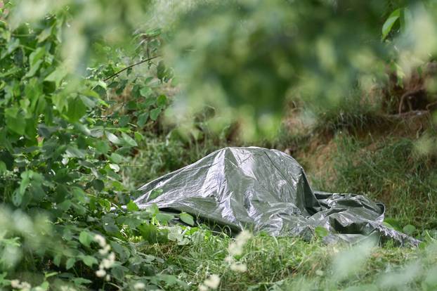 24sata Vanici: Zbog zanemarivanja uginulo vi&scaron;e pasa