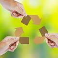 Recikliranjem tone papira može se sačuvati 17 zrelih stabala