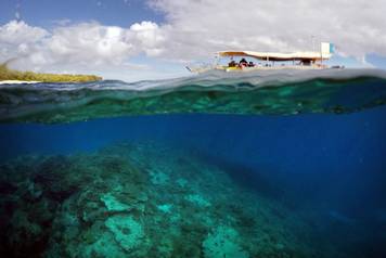 A boat carrying tourists can be seen floating above an area called the 'Coral Gardens' located in an area called the 'Coral Gardens' located at Lady Elliot Island and north-east from the town of Bundaberg in Queensland