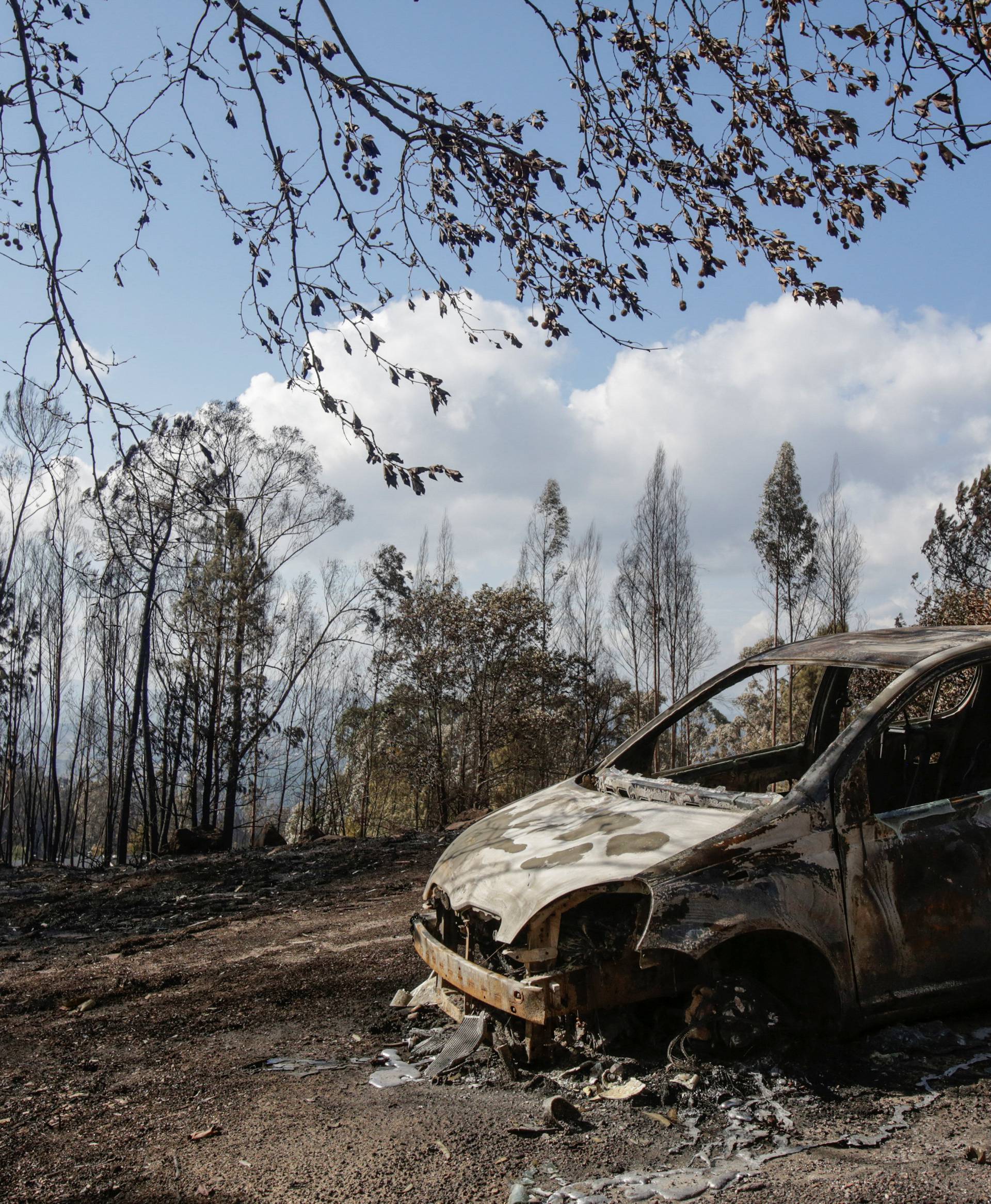 A burnt car is seen after a forest fire near As Neves