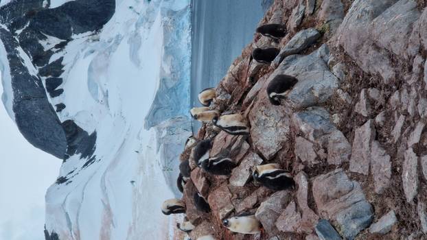 FOTO Par iz Dalmacije motorima obišao cijelu Južnu Ameriku: Pogledajte te prirodne ljepote!