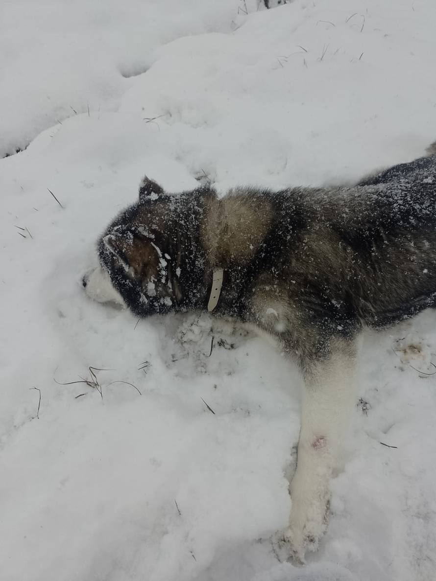 Općinska komunalka sama 'izlopatala' snijeg sa staze: 'Nema nikakve drame u tome'