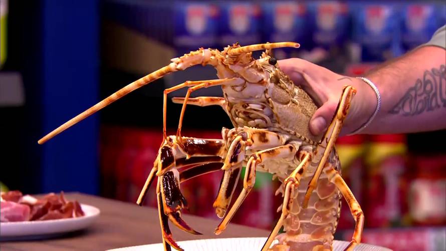 Kandidate 'Masterchefa' šokirat će novi izazov: Trebaju smisliti što kuhati, a najbitnije ne znaju