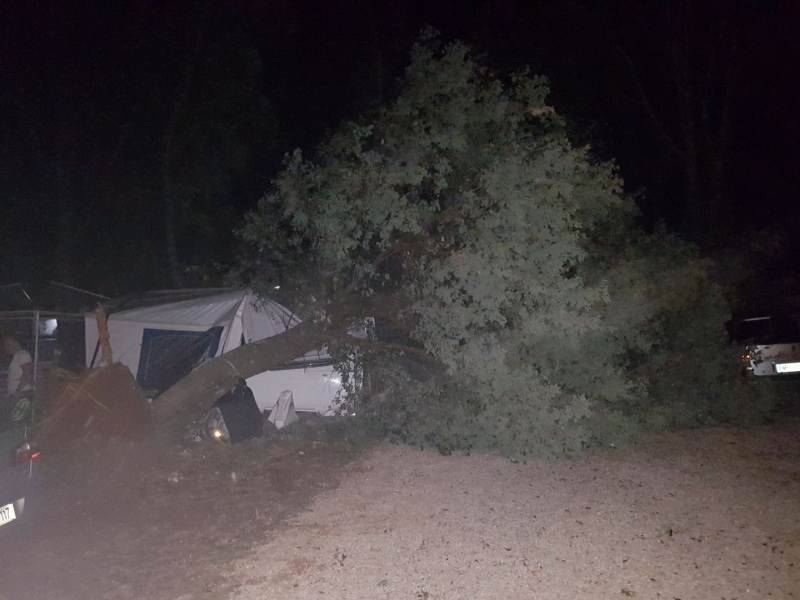 U Istri su naleti vjetra brzine 130 km/h rušili čak i stabla!