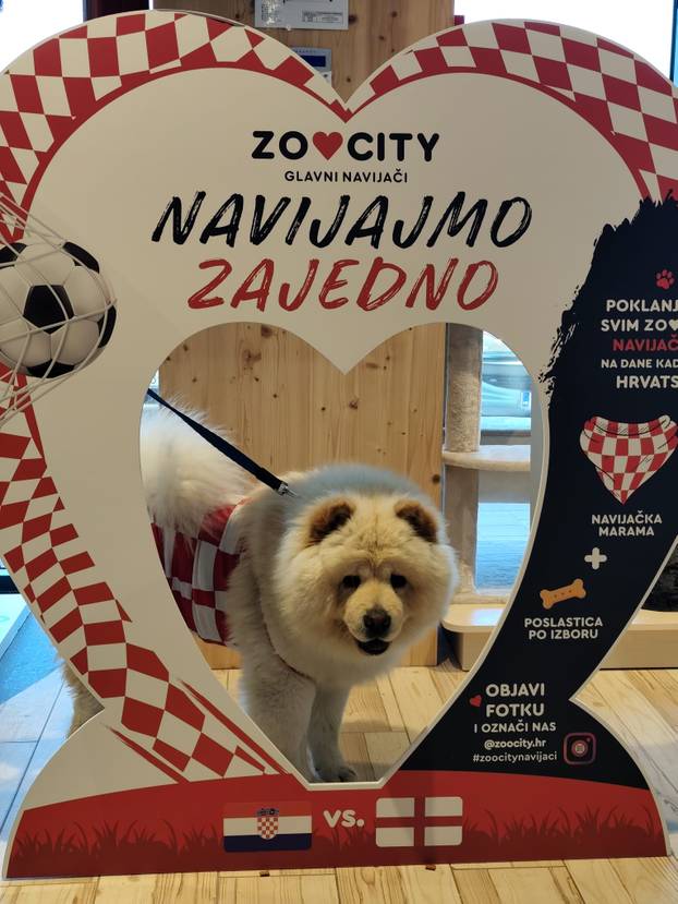 ŠAPE GORE! Ovako navijaju za repku ljubimci naših čitatelja