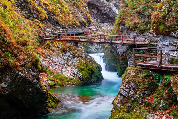 Famous,And,Beloved,Vintgar,Gorge,Canyon,With,Wooden,Path,In