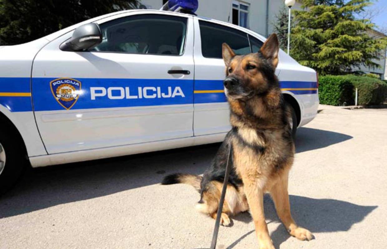 Rasprava: Policija za životinje u Hrvatskoj - za ili protiv?