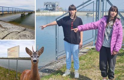 Srna srušila dječaka u kanal na Dravi. Skoro se utopio: 'U zadnji tren smo spasile prijatelja...'