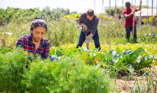 O&zcaron;ujak u vrtu: Vodi&ccaron; za klju&ccaron;ne poslove - od sjetve do rezidbe