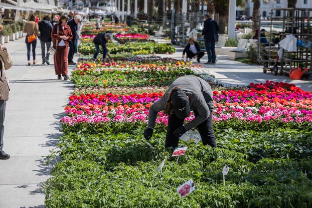 Otvorenje 49. sajma cvijeća u Splitu