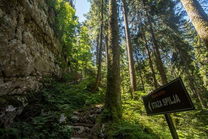 Osvježene u park šumi Golubinjak