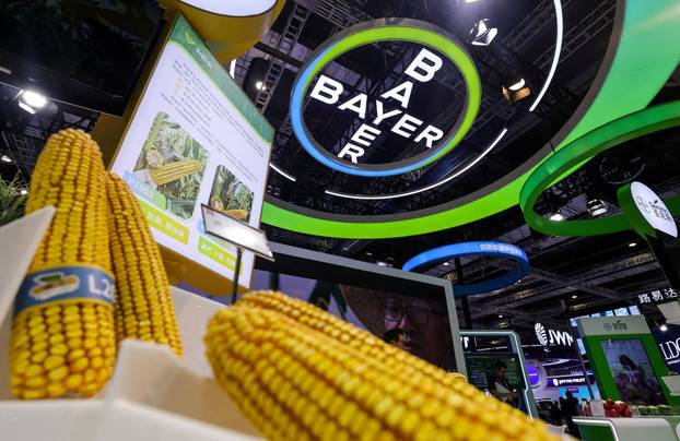 China International Import Expo in Shanghai