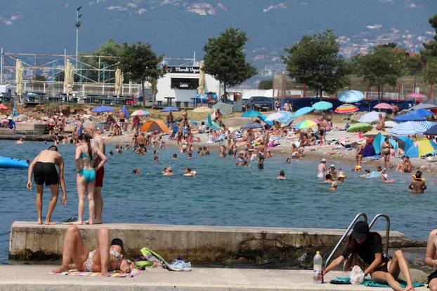 Rijeka: Mravinjak na plaži pod stadionom na Kantridi