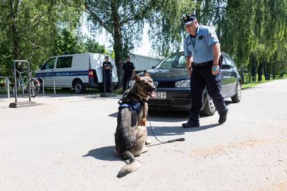 Nekad su bili ljubimci, a danas su heroji koji pomažu ljudima