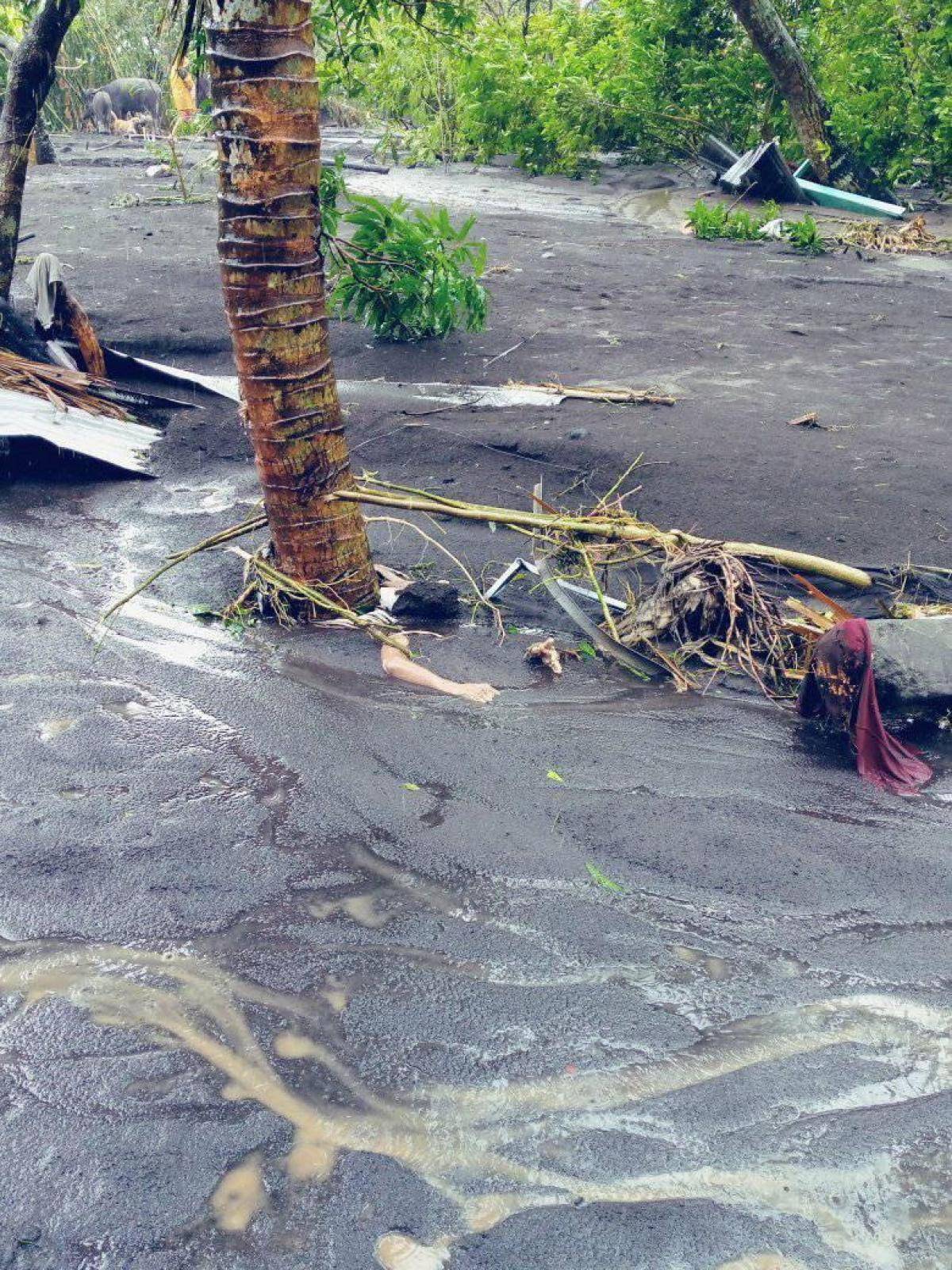 Aftermath of Typhoon Goni in Albay Province