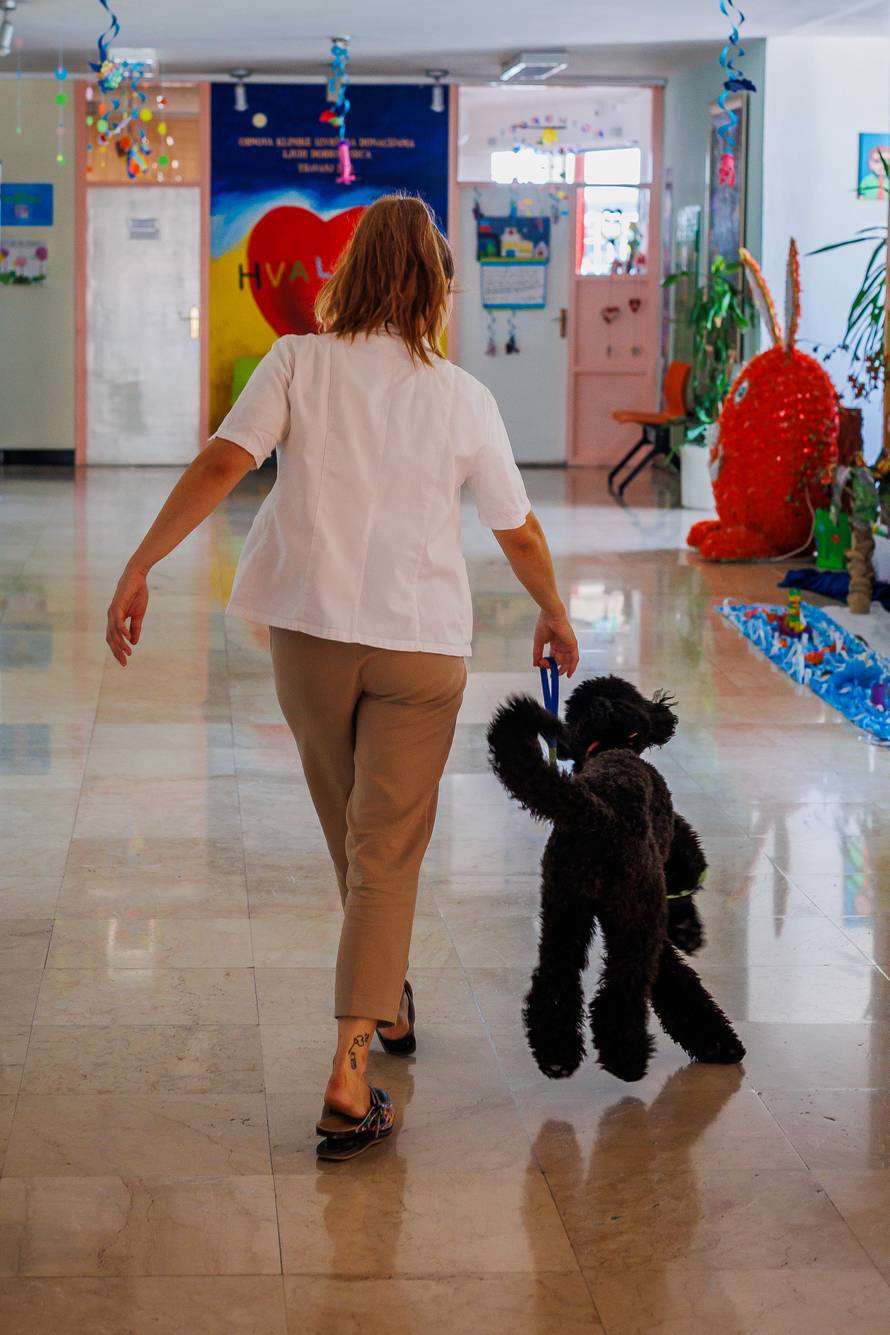 Split: Terapijski pas Dora i terapeutkinja Matea Vidak