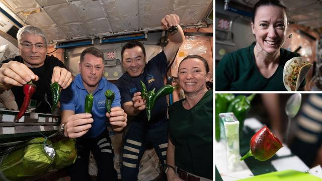 Astronauti na ISS-u počastili se tacosima s čili papričicama koje su uzgojili na svemirskoj postaji