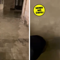 VIDEO Sna&zcaron;no nevrijeme u Dalmaciji, Omi&scaron; je pod vodom! 'Voda je po&ccaron;ela ulaziti u ku&cacute;e...'