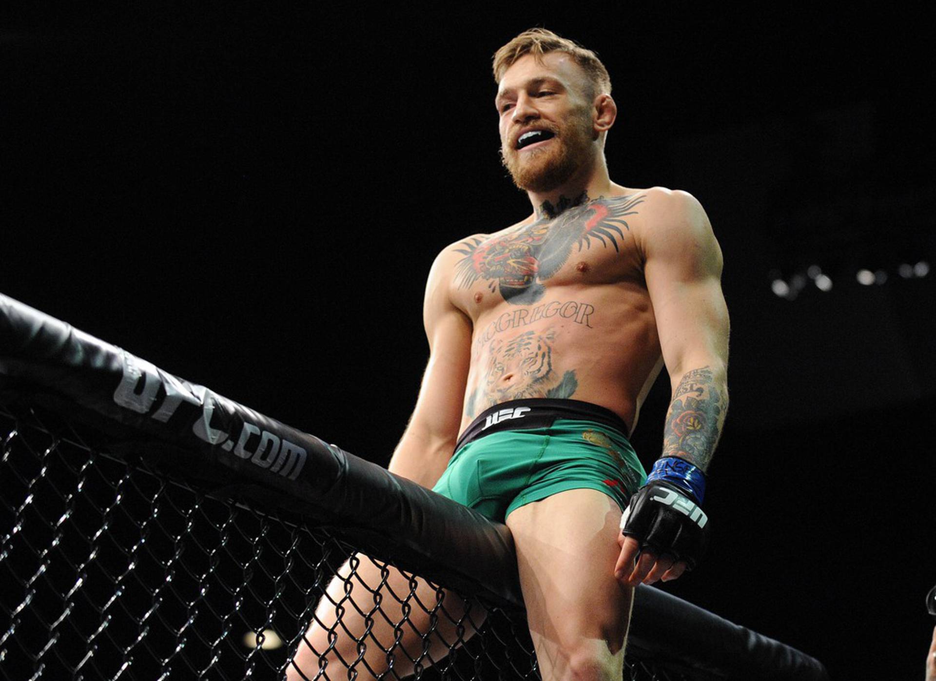 Conor Mcgregor Porn