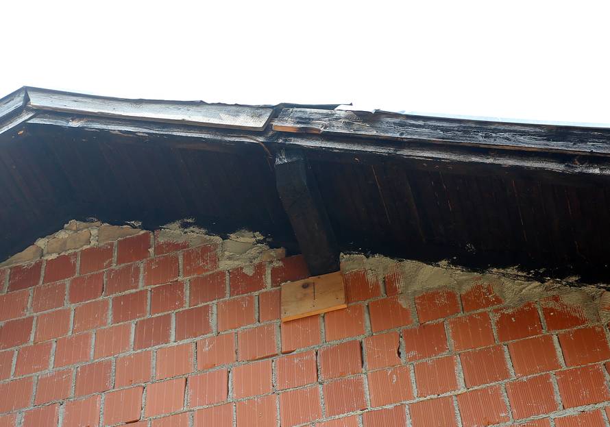 'Jesam ti rekel': Prijatelj rušio stablo i srušio mu ga na kuću!