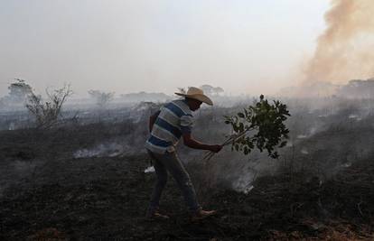 Požari u najvećem tropskom močvarnom staništu na svijetu