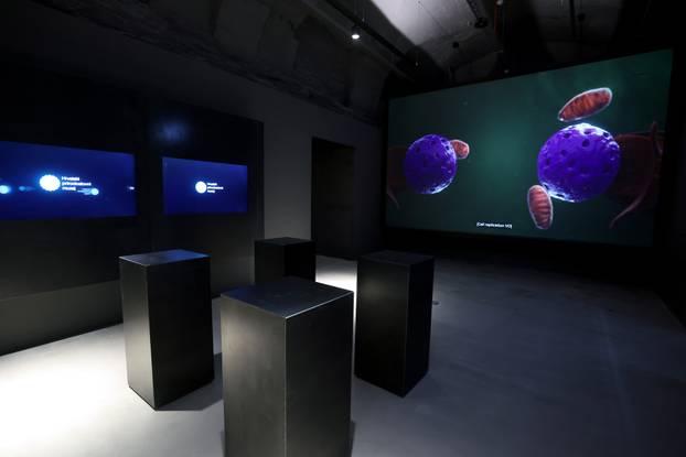 Zagreb: Završen je projekt Čuvar baštine Hrvatskog prirodoslovnog muzeja