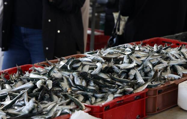 Šibenik: Poskupljenje plavog dizela još se nije odrazilo na cijene u ribarnici