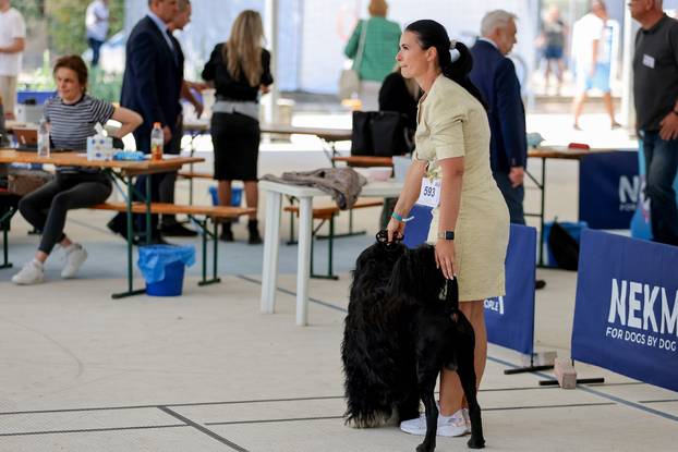 Zaton: Međunarodna izložba pasa pod nazivom CACIB Zadar 2025