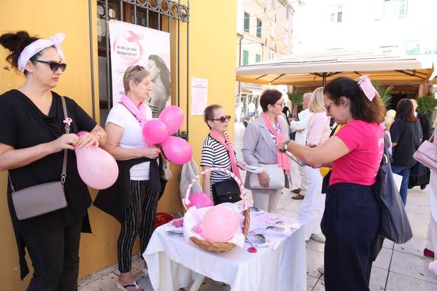 Šibenik: Obilježen Dan ruži?aste vrpce