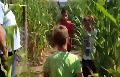 Izgubite se u prvom kukuruznom labirintu u Hrvatskoj