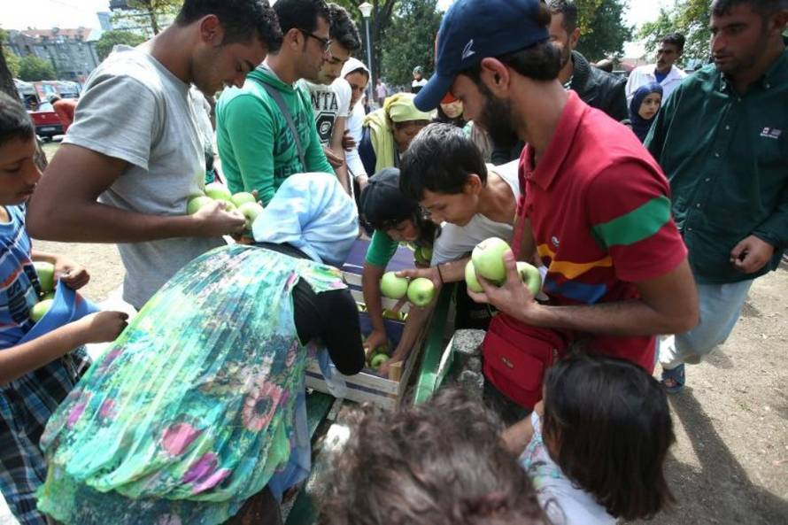 Sanjin Strukić/PIXSELL