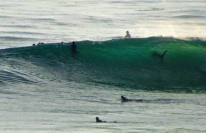 Morski psi najčešće napadaju surfere! Slijede plivači i ronioci